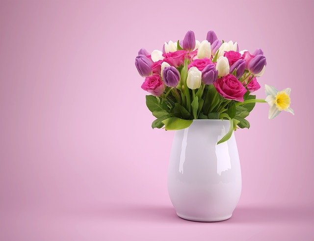 daffodil-in-vase