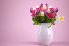 daffodil-in-vase
